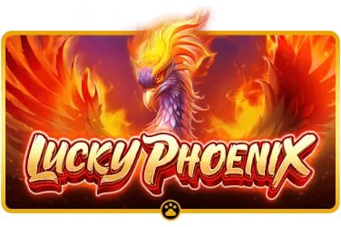 555max Myanmar Gaming Journey Timeline Platform Growth